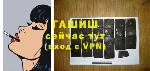 хмурый Магас