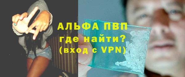хмурый Магас