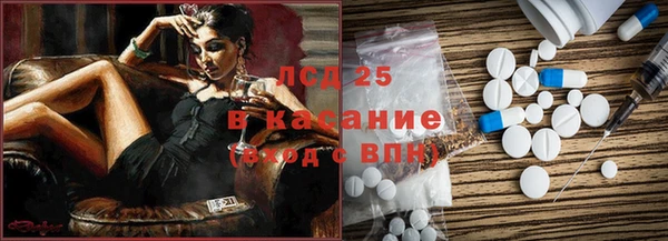 хмурый Магас
