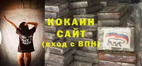 хмурый Магас