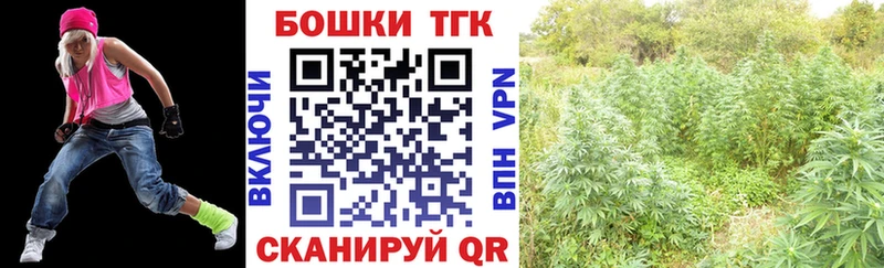 где можно купить наркотик  Цимлянск  Каннабис SATIVA & INDICA 